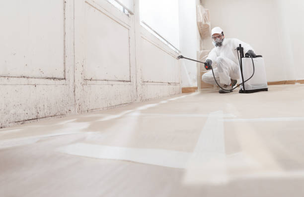 24/7 Emergency Commercial Mold Remediation experts in Clarksville, VA