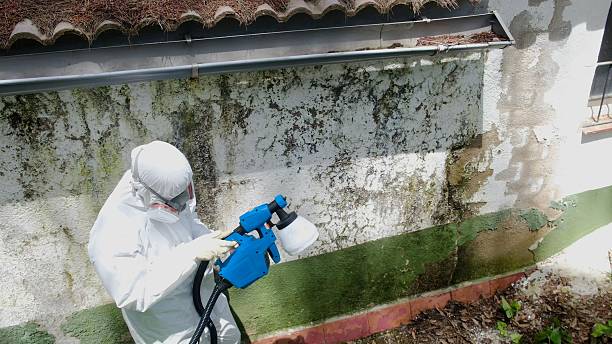 Top rated local Commercial Mold Remediation specialists in Clarksville, VA